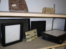 Thin-specimen display (as for butterflies or press