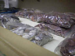 Red flame agate & other agates in pound bags.