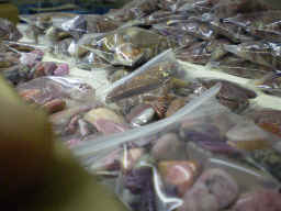 Mixed rocks (principally agates and jaspers) sorte