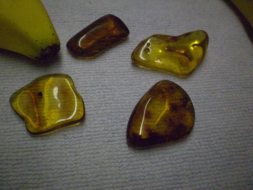 Polished amber chunks.